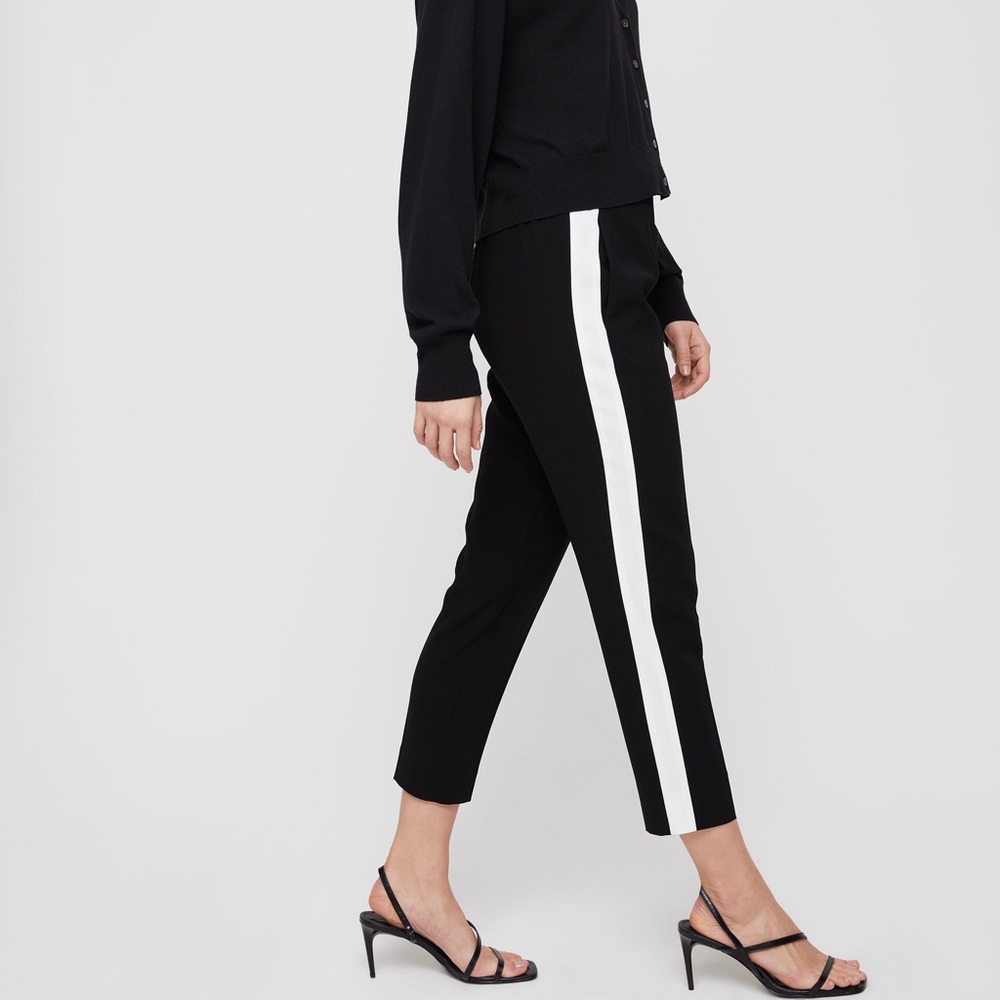 Aritzia Babaton Conan pant with stripe